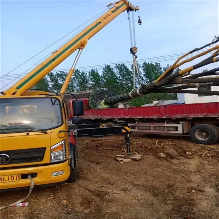 来凤100吨吊车租赁费用怎么算？3大关键因素+省钱技巧全解析